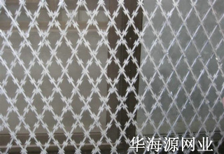 刀刺網(wǎng)
